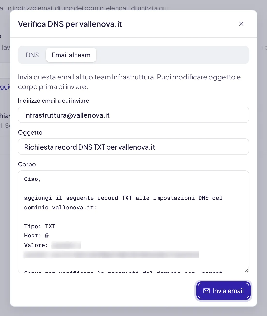 La scheda Email al team: l'indirizzo del destinatario, l'oggetto e il corpo già scritti con tipo, host e valore del record (il valore è sfocato), e Invia email evidenziato