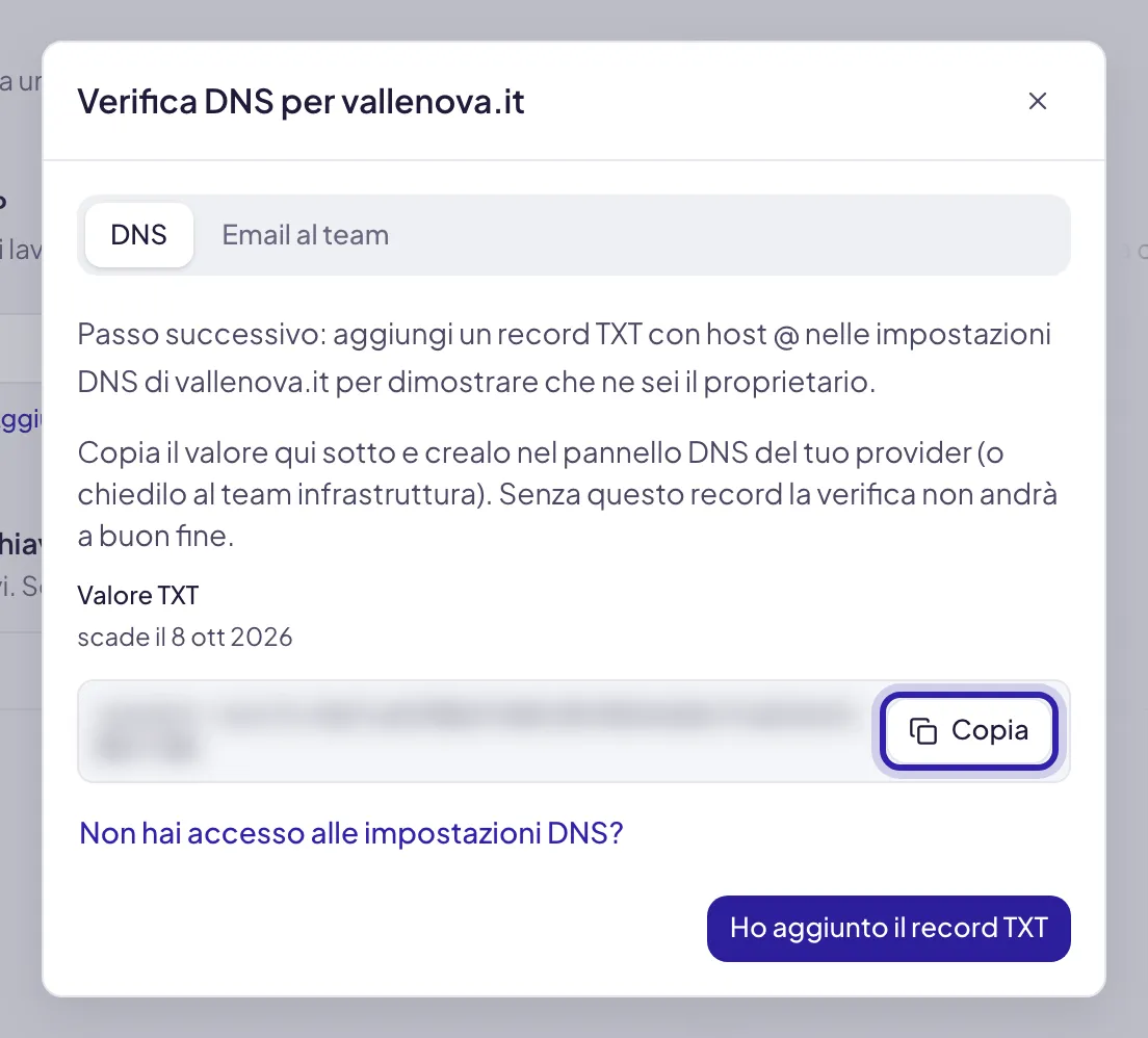 La finestra Verifica DNS per il dominio sulla scheda DNS: il valore TXT, qui sfocato, con sopra la data di scadenza e accanto il pulsante Copia evidenziato